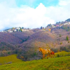 P1180248   Eh, la mamma!